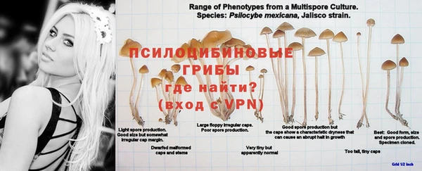 MDMA Арсеньев