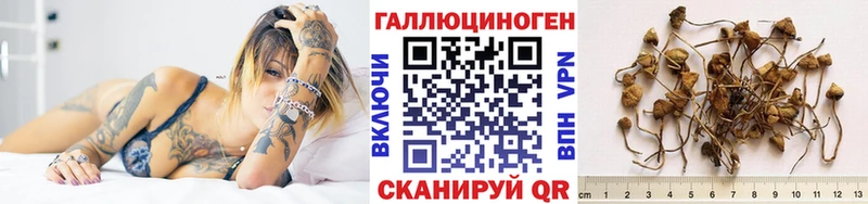 Галлюциногенные грибы прущие грибы  купить закладку  Богучар 